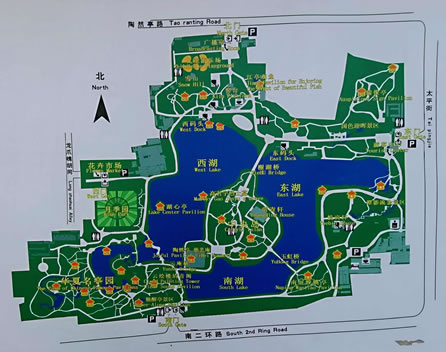 ��Ȼͤ���@��(d��o)�[�D